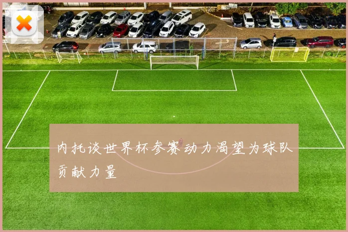 内托谈世界杯参赛动力渴望为球队贡献力量